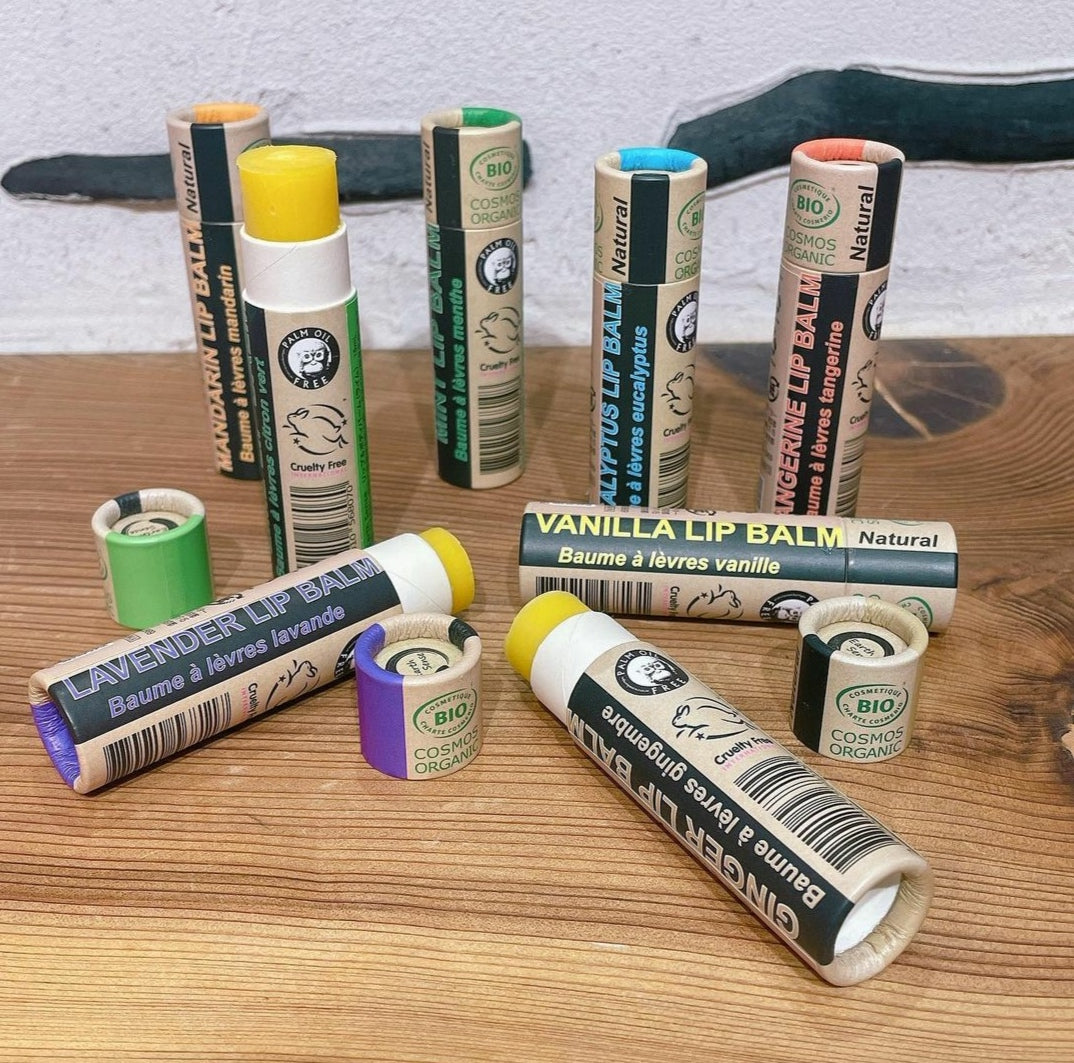Organic Eucalyptus Lip Balm -  1 piece - 100% paper packaging-3
